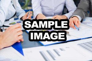 Caption for sample image