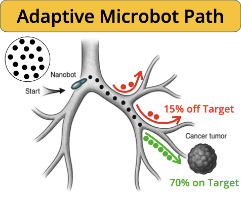 Nanobot Vascular Drug Delivery