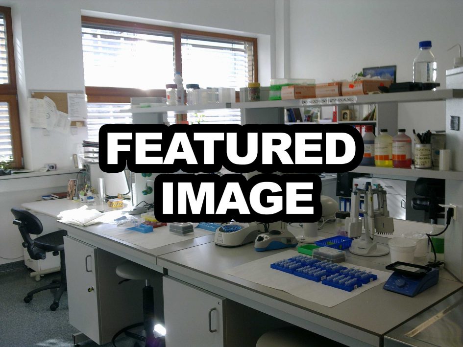 Laboratory