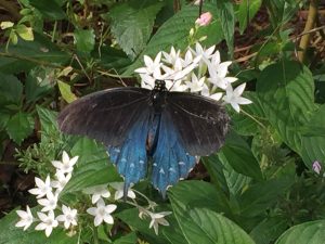 img_0977