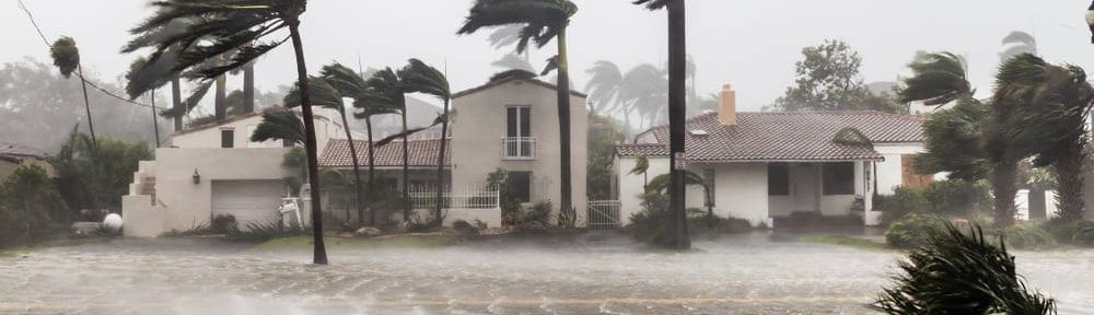 The Asl Research Group